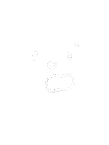 Surprise Wahaha Sticker