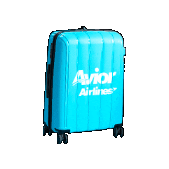 Veranoflexible Sticker by Avior Airlines