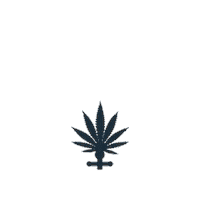 CannaCruise boat amsterdam cc cruise Sticker