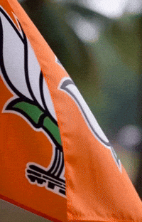 Flag Lotus GIF