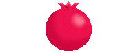 POMWonderful seeds pom pomegranate antioxidant Sticker
