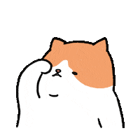 Sad Cat Sticker by FATZOO