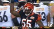 Cincinnati Bengals Football GIF by NFL