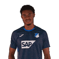 Sport Dust Off Sticker by TSG Hoffenheim