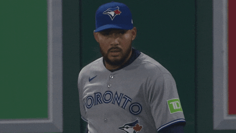 Blue Jays Baseball GIF by Toronto Blue Jays