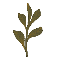 Planet Leaf Sticker