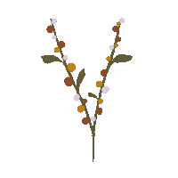 Flower Colors Sticker