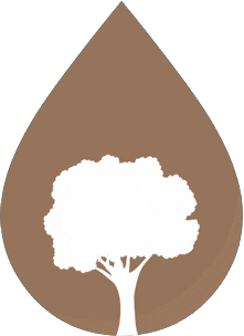 ecoirrigacaoejardim giphyupload tree garden eco Sticker