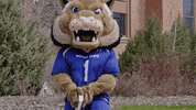 Montana State Bobcats Reaction GIF by Montana State University