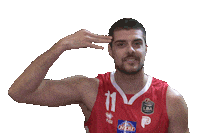 Legabasket Sticker by Pistoia Basket
