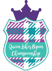 Qsda Sticker