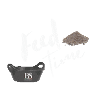 Horse Equitation Sticker by Briganti Silver