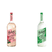 Party Celebrate Sticker by Belvoir Lemonades & Cordials