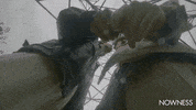 The Highs And Lows Of An Open Relationship GIF by NOWNESS