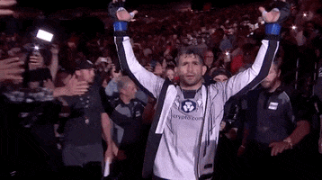Sport GIF by UFC