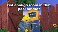 Enough room in pool?