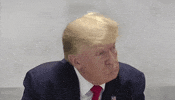Tired Donald Trump GIF by GIPHY News