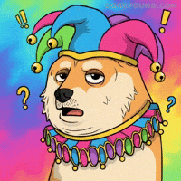 Shiba Inu What GIF by Doge Pound