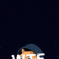 Shiba Inu Wtf GIF by Doge Pound