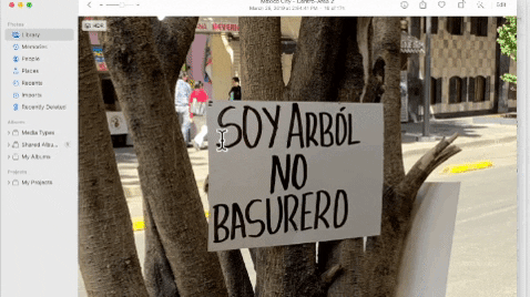 albamoraantoja giphygifmaker GIF