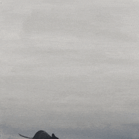 Animation 2D GIF by Pierre-Julien Fieux