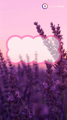 GIF by Learner Circle