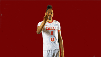 choletbasket sport basketball basket cb GIF