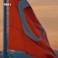 Turkey Turkish GIF by TRT