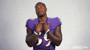 Football Nfl GIF by Baltimore Ravens