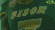 North Dakota State Scream GIF by NDSU Athletics