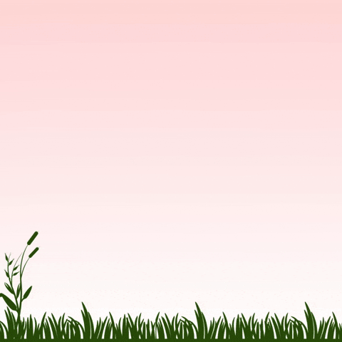 Internet Clouds GIF by RedPocket