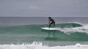 Surfing Surfer GIF by Campbell Designed “surfboards"