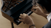 GIF by NOWNESS