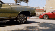 GIF by stalebagel