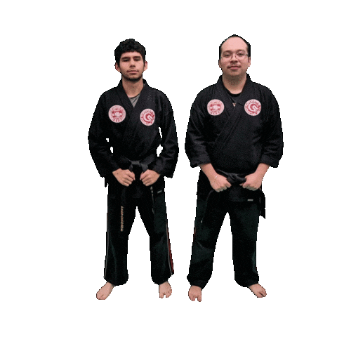 Karate Taekwondo Sticker by Team GMA