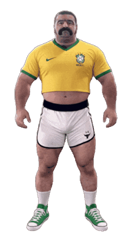 Brazil Queer Sticker by Database數據