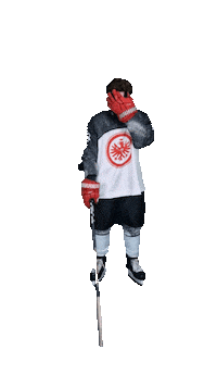 EishockeyEintrachtFrankfurt eintracht frankfurt frankfurt eishockey eisadler Sticker