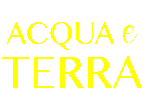 Yellow Sticker by acquaeterra