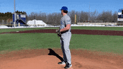 CUWBaseball cuw cuwfalcons cuwbaseball tristanlargent GIF