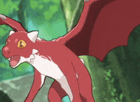 Cat Fire GIF