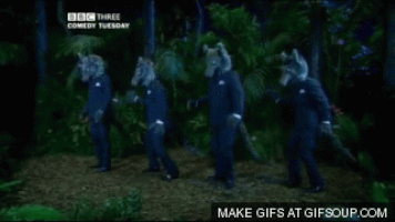 wolves GIF