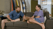 Dog Watching Tv GIF by Gogglebox Australia