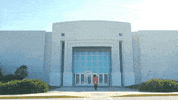 no going back sub pop GIF by Sub Pop Records