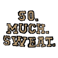 Holiday Sweat Sticker by Aerie