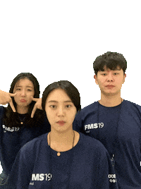 Fmsseoul2019 Cherrymi5 Sticker by Facebook Korea