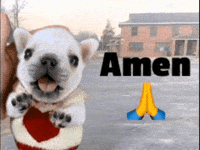 Pibble GIF