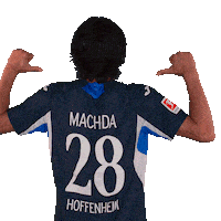 Sport Bundesliga Sticker by TSG Hoffenheim