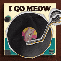Cat Meow GIF by The Kiffness