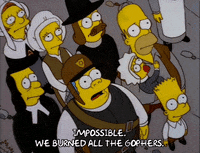 homer simpson GIF
