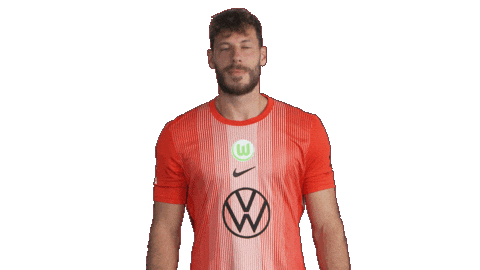 Happy Germany Sticker by VfL Wolfsburg